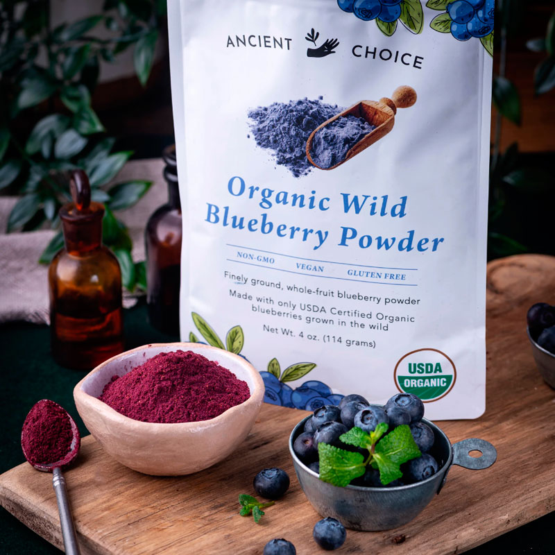 Polvo de arandanos silvestres