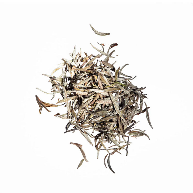 Bai Hao Yin Zhen