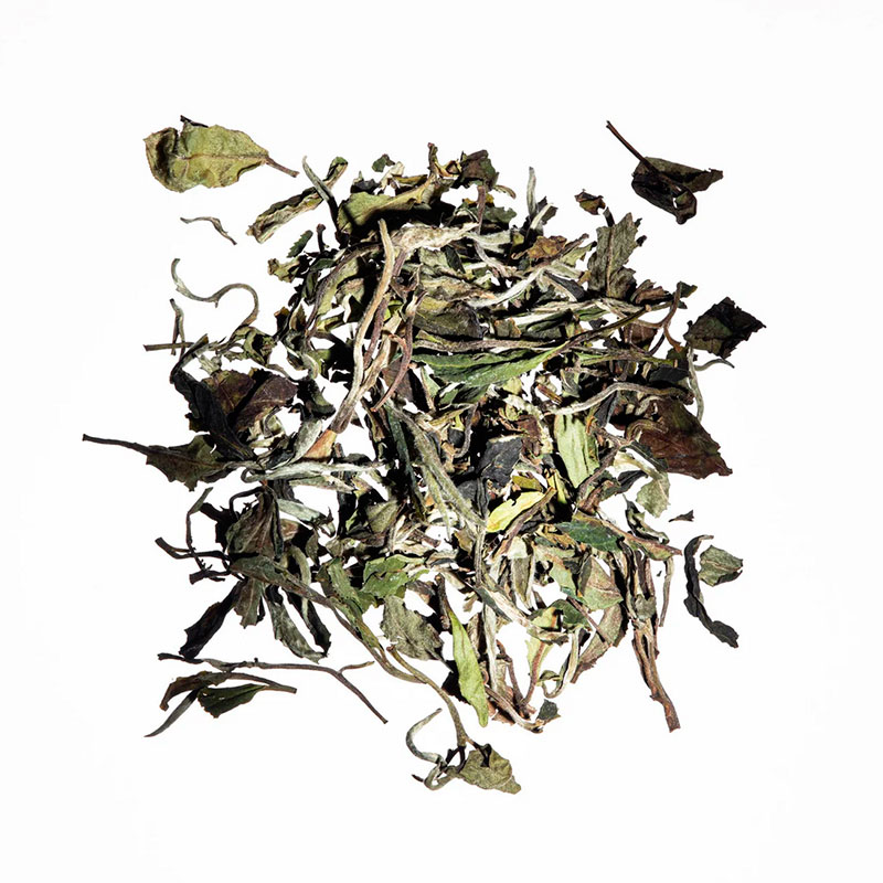 Bai Mu Dan